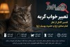 تعبیر خواب گربه + تفسیر کامل از نظر امام صادق (ع) و حضرت یوسف (ع)